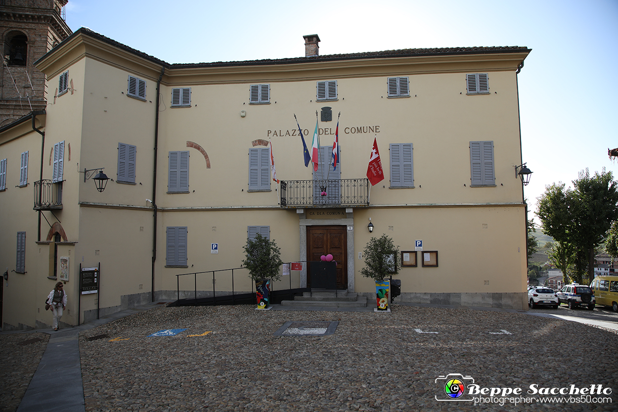 VBS_6073 - Castagnole delle Lanze.jpg